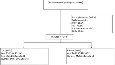 Executive function and relation to static balance metrics in chronic mild TBI: A LIMBIC-CENC secondary analysis